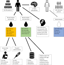 Traumatic Brain Injury