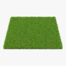 Fescue Grass Buy Now 91497107 Pond5