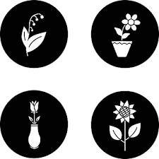 Lily Valley Icon Png Images Vectors