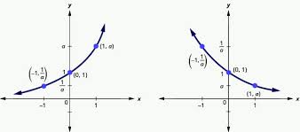 Graph Exponential Functions