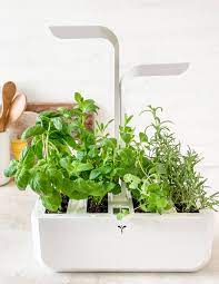 Best Indoor Garden System Tara Teaspoon