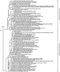 Amoa Targeted Polymerase Chain Reaction