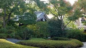 Zen Garden Japan Stock Footage