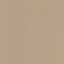 Leonardo Icon Beige Matt 60x60 Cm Icon