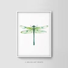 Dragonfly Watercolor Wall Art Emerald