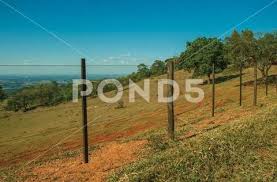 Barbed Wire Fence 108600297