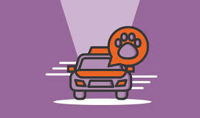 How To Start A Pet Taxi Business In 2023