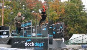 dockdogs training tips