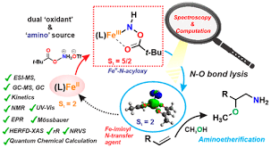 Iron Catalyzed Aminofunctionalization