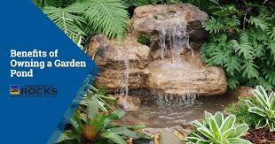 Benefits Of Owning A Garden Pond