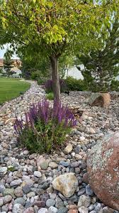 Simple Landscaping And Border Ideas For
