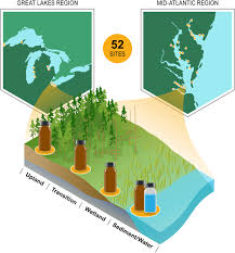 Upland To Wetland Soils