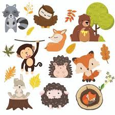 Woodland Animals Vector Art Icons And
