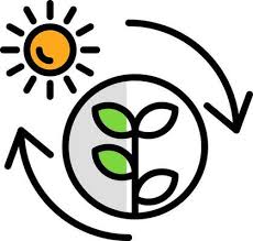 Photosynthesis Vector Art Icons And