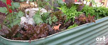 Wicking Beds Bulleen Art Garden