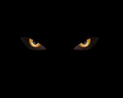 Panther Eyes Images Browse 66 271