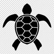 Black Turtle Ilration Turtle S