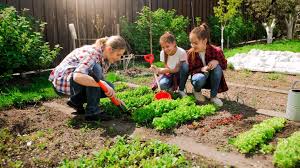 Gardening In Utah For Beginners
