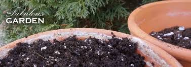 How Much Soil Should You Put In A Pot