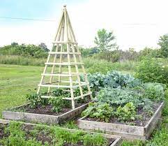 Garden Obelisk Wooden Step By Step