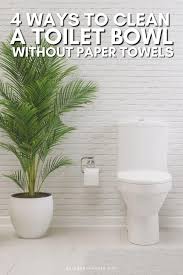 A Toilet Bowl Without Paper Towels