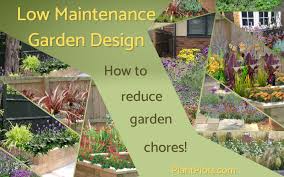 Low Maintenance Garden Design