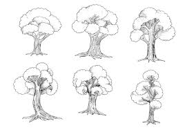 Tree Drawing Images Free On