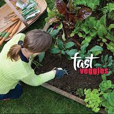 Quick Growing Vegetables To Grow In