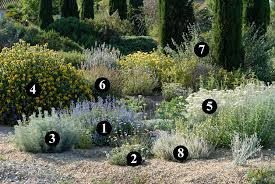 Dry Gardens By Olivier Filippi