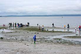 Golden Gardens Park My Ballard