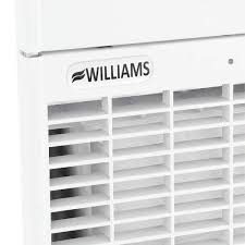 Williams Forsaire 40 000 Btu