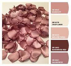 Rose And Gold Color Palette
