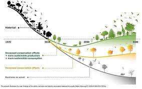 Bending The Curve Of Biodiversity Loss