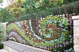 Succulent Wall Garden