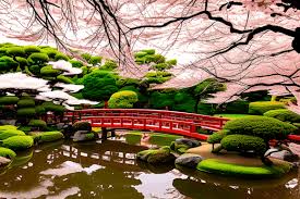 Japanese Garden With Cherry Blossoms