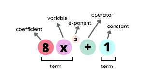 Polynomials Properties Operations