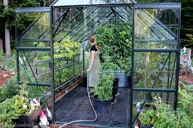 Greenhouse Vegetable Gardening One