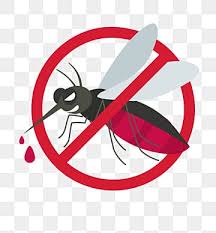 Anti Mosquito Png Vector Psd And