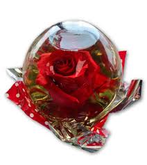 Regal Red Rose In Glass Orb Send To