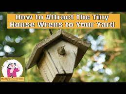 How To Attract The Tiny House Wrens To