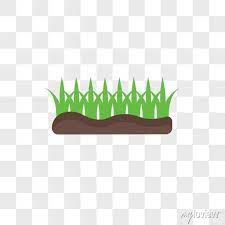 Grass Vector Icon Isolated On