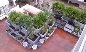 Terrace Gardening Service At Rs 125