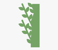 Green Wall Plant Fl Design