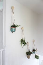 Create A Wall Of Plants Growing Spaces