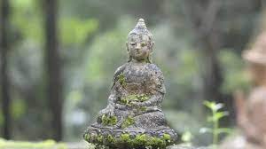 Small Buddha Statue With Mossy In