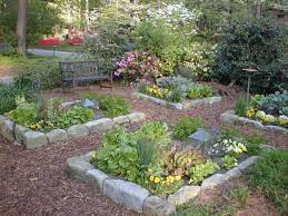 Pretty Organic Vegetable Garden In