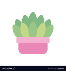 Potted Succulent Plants Flat Icon