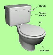 Wondering How A Toilet Works Here S