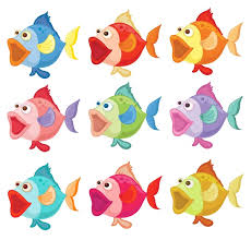 Colorful Fish Images Free On