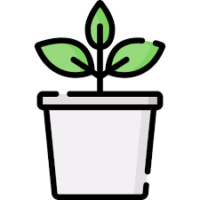 Plant Pot Free Farming And Gardening